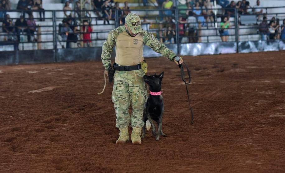 Polícia Penal do Paraná