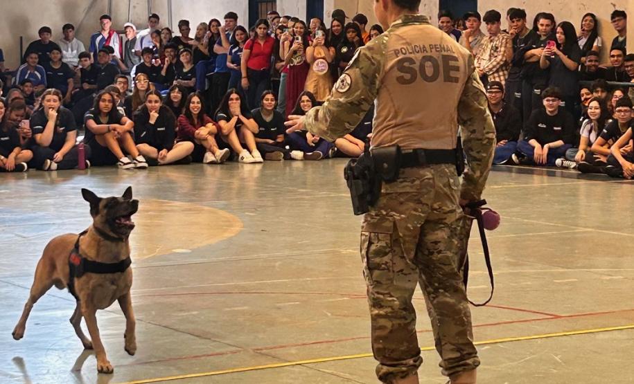 Polícia Penal do Paraná