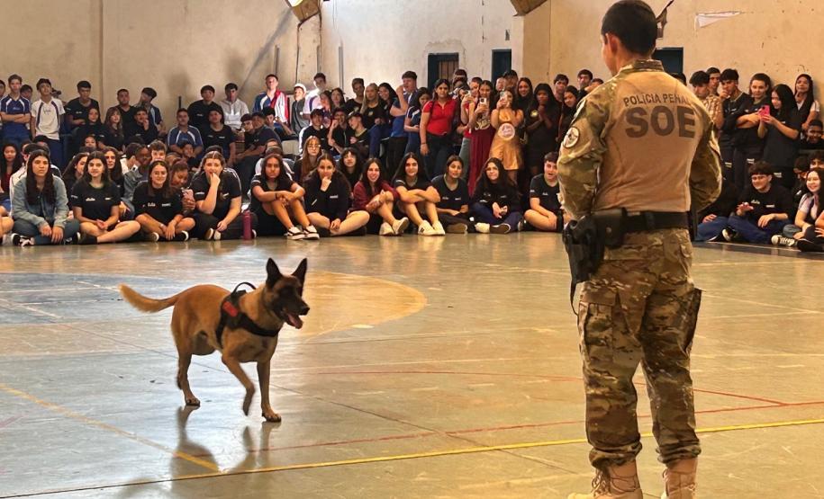 Polícia Penal do Paraná
