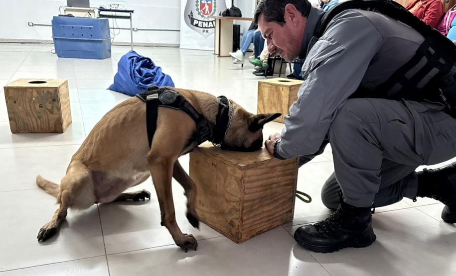 Polícia Penal do Paraná