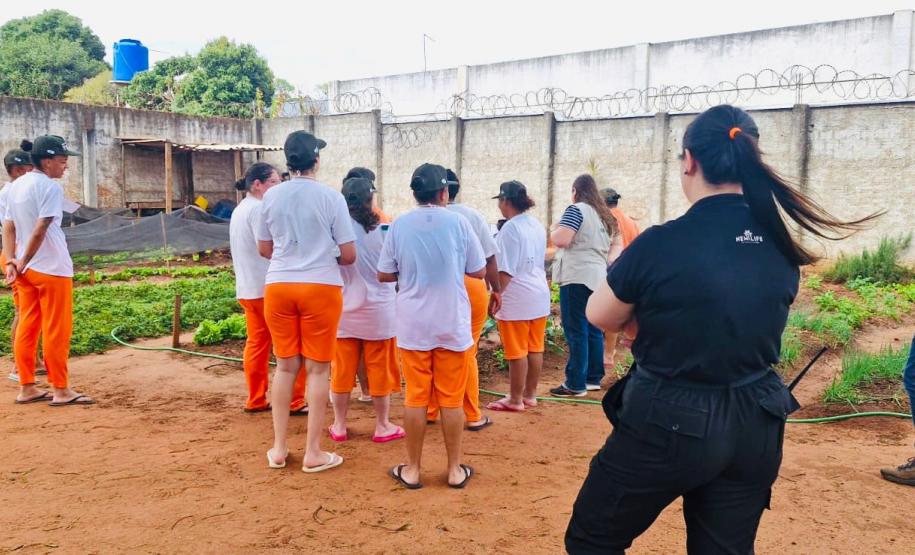 Cadeia Pública Feminina de Alto Paraná conclui curso de qualificação em olericultura