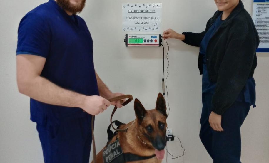 Polícia Penal do Paraná