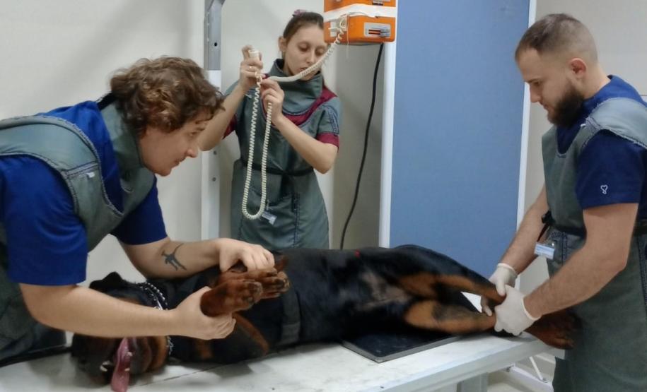 Polícia Penal do Paraná