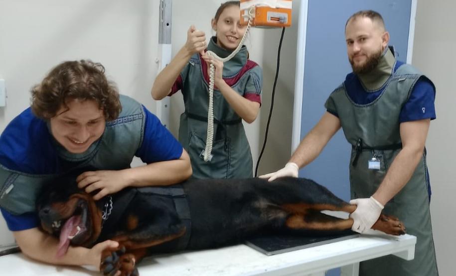 Polícia Penal do Paraná