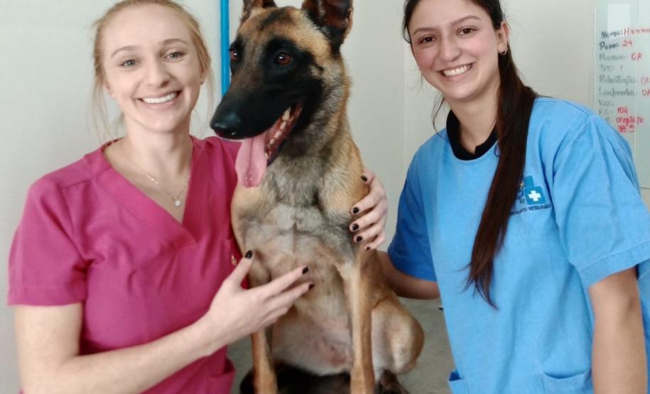 Polícia Penal do Paraná