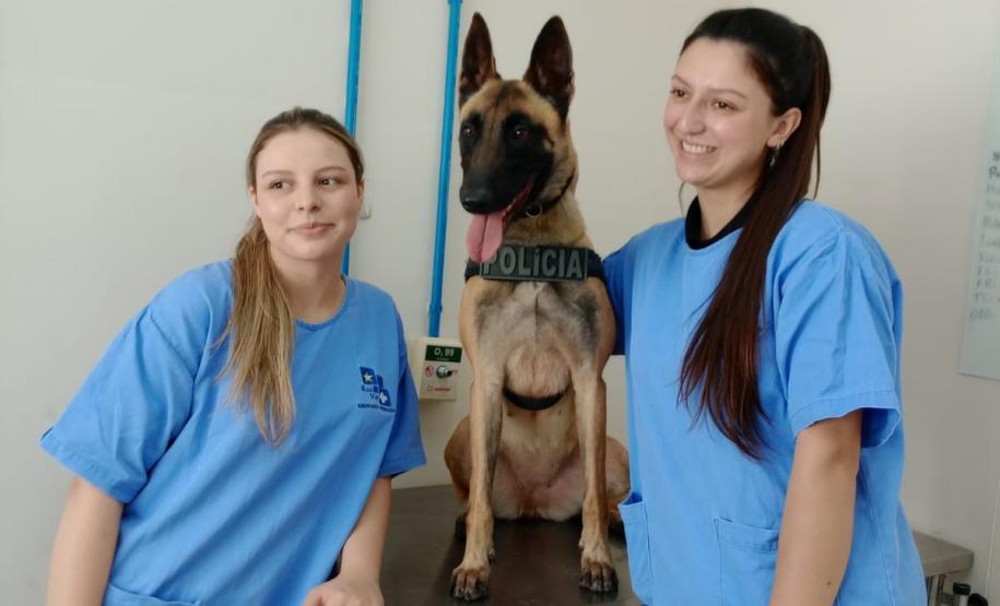 Polícia Penal do Paraná