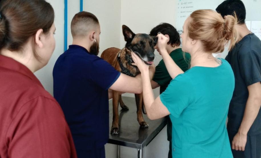 Polícia Penal do Paraná