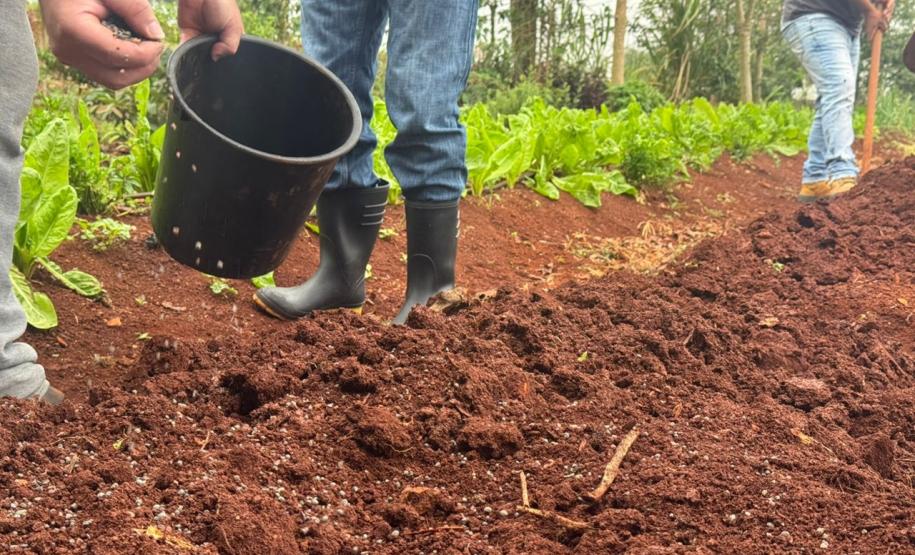 Polícia Penal do Paraná