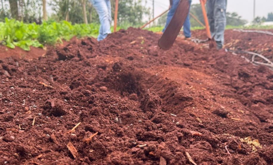 Polícia Penal do Paraná