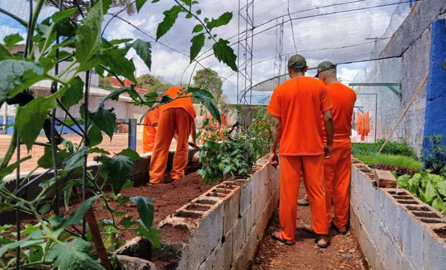 Polícia Penal do Paraná