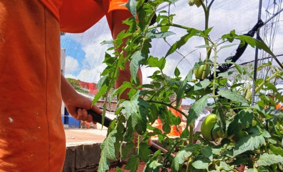 Polícia Penal do Paraná