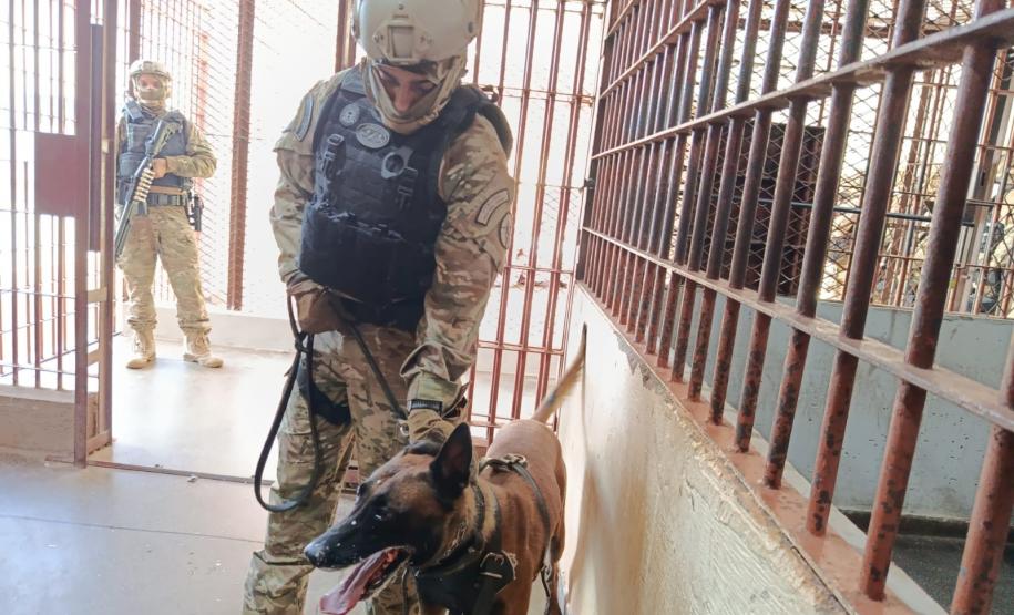 Polícia Penal do Paraná reforça segurança penitenciária durante a 11ª fase da Operação Mute