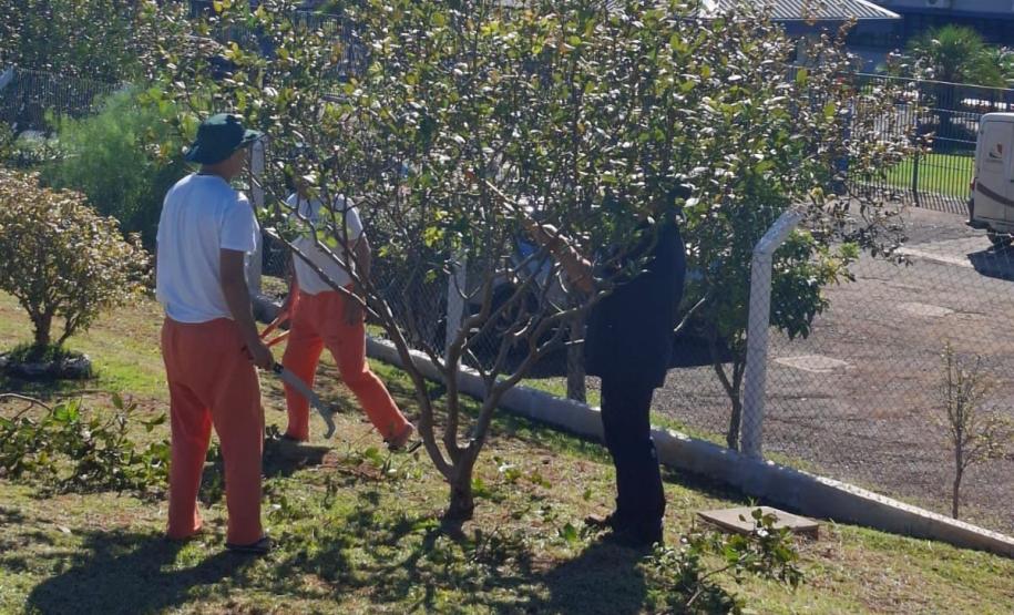 Curso de jardinagem na PIMP-UP transforma rotina e cultiva novos caminhos dentro do cárcere