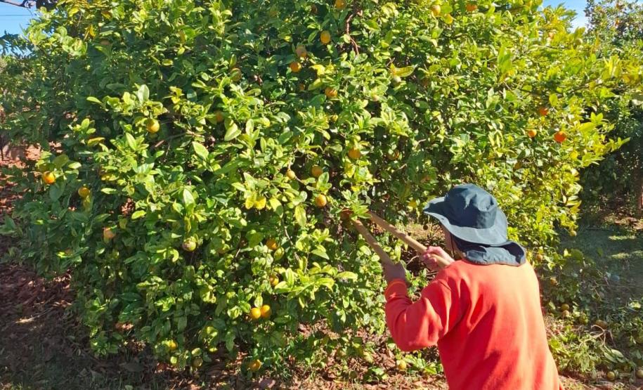 Curso de jardinagem na PIMP-UP transforma rotina e cultiva novos caminhos dentro do cárcere