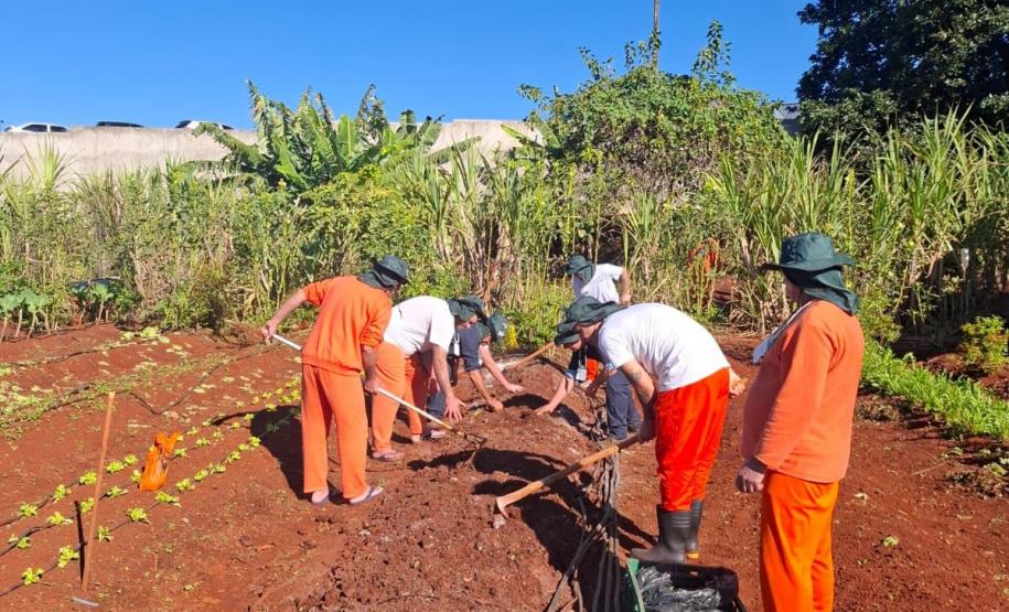 Curso de jardinagem na PIMP-UP transforma rotina e cultiva novos caminhos dentro do cárcere