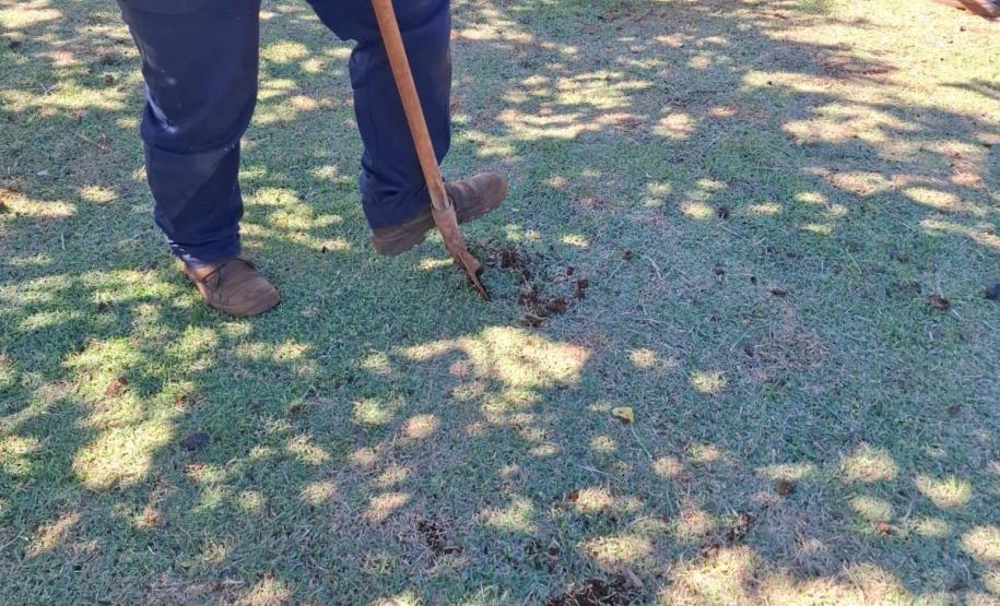 Curso de jardinagem na PIMP-UP transforma rotina e cultiva novos caminhos dentro do cárcere