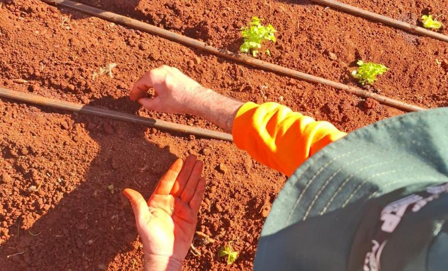 Curso de jardinagem na PIMP-UP transforma rotina e cultiva novos caminhos dentro do cárcere