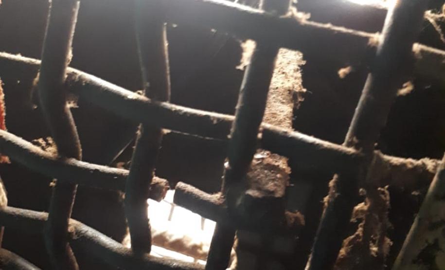 Agentes penitenciários de Cascavel apreendem celulares e materiais ilícitos em Laranjeiras do Sul