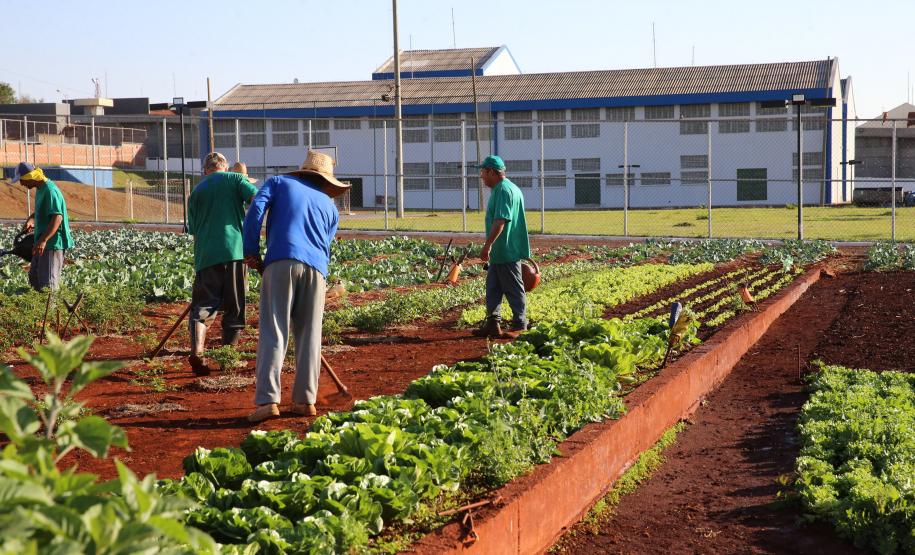 Casa de Custodia de Maringa - Execucao de servicos de  engenharia comuns e reparos -  03/08/2020 -  Foto: Geraldo Bubniak/AEN