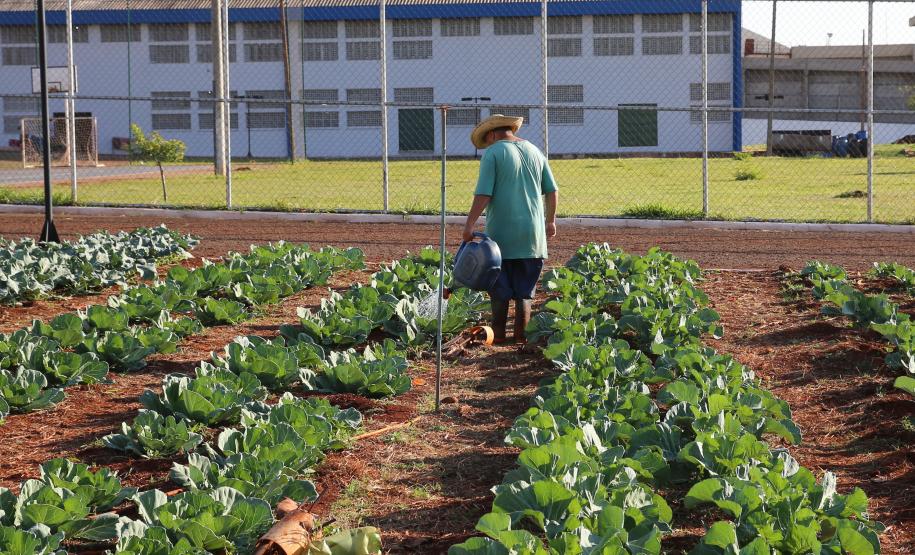 Casa de Custodia de Maringa - Execucao de servicos de  engenharia comuns e reparos -  03/08/2020 -  Foto: Geraldo Bubniak/AEN