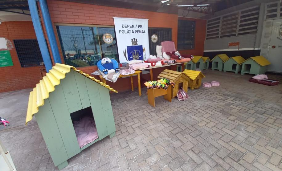 Projeto Pipoca: Detentos produzem materiais para animais de rua, na Cadeia Pública de Toledo (PR)