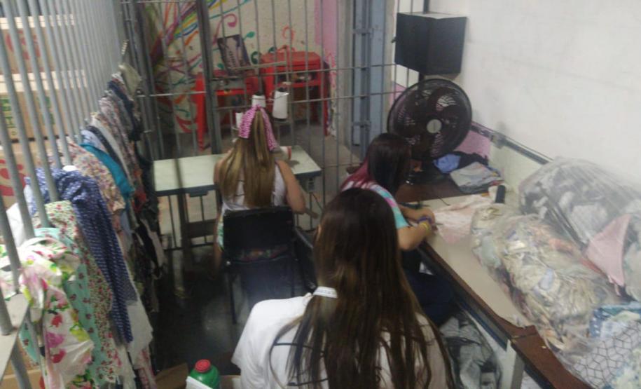 Projeto Pipoca: Detentos produzem materiais para animais de rua, na Cadeia Pública de Toledo (PR)