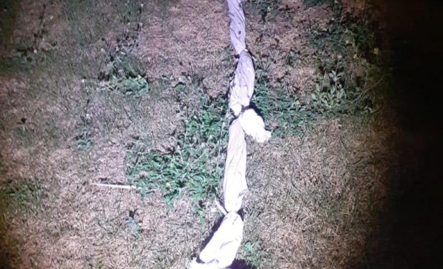 Agentes penitenciários impedem fuga de quatro presos da PECO