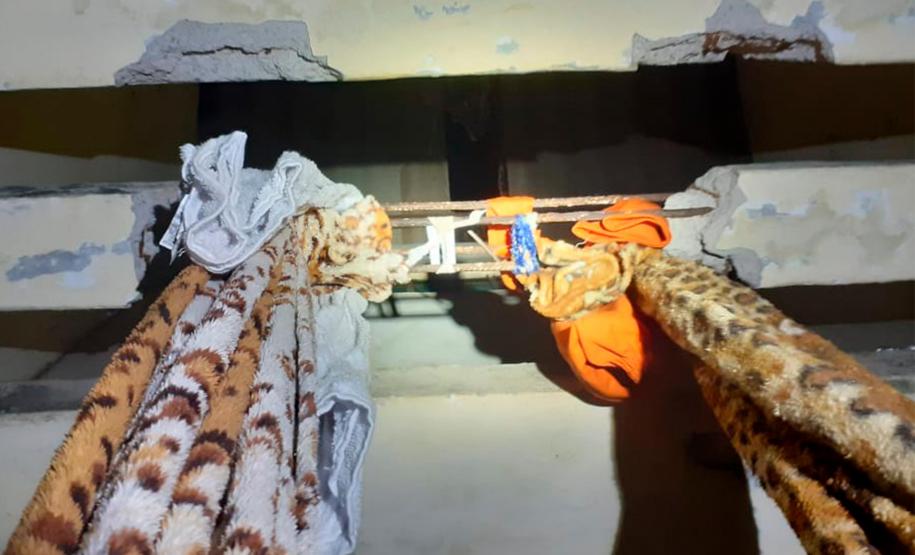 Agentes penitenciários impedem fuga de quatro presos da PECO