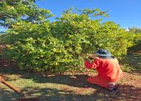 Curso de jardinagem na PIMP-UP transforma rotina e cultiva novos caminhos dentro do cárcere